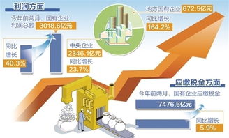 财政大收入，经济发展的基石与动力